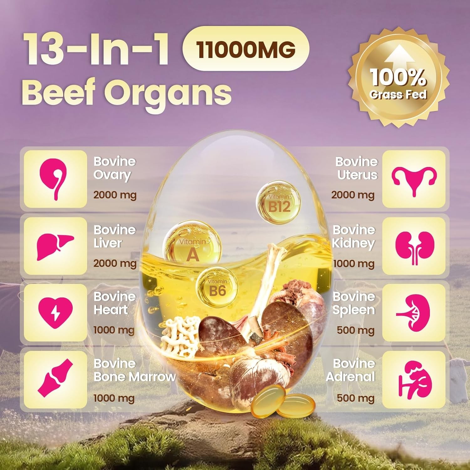 13-in-1 Beef Organ Supplement for Women Balance Hormones, Energy, 300 Softgels