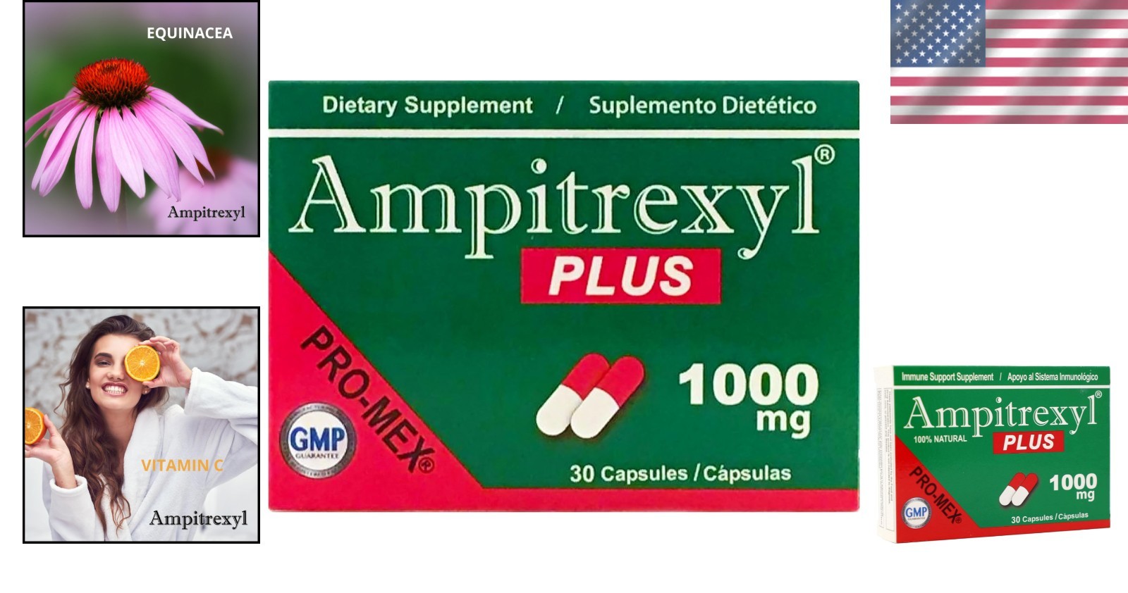 Promex Plus Antioxidant Capsules 1000 mg – Traditional Herbal Blend – 30 Count