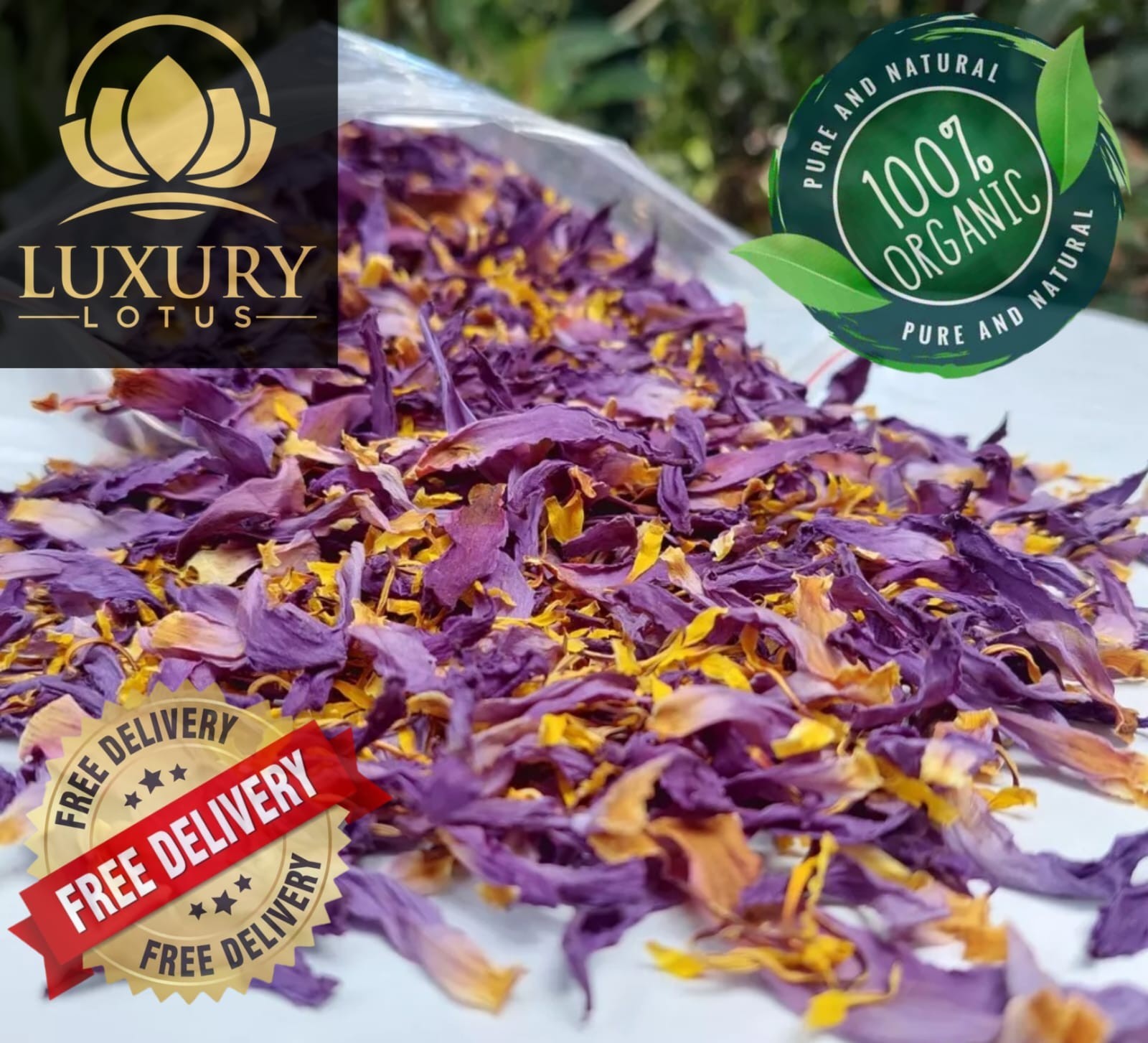 Blue Lotus |Nymphaea Caerulea| 100% Organic Herbal Hand Picked Pure Flowers Tea!