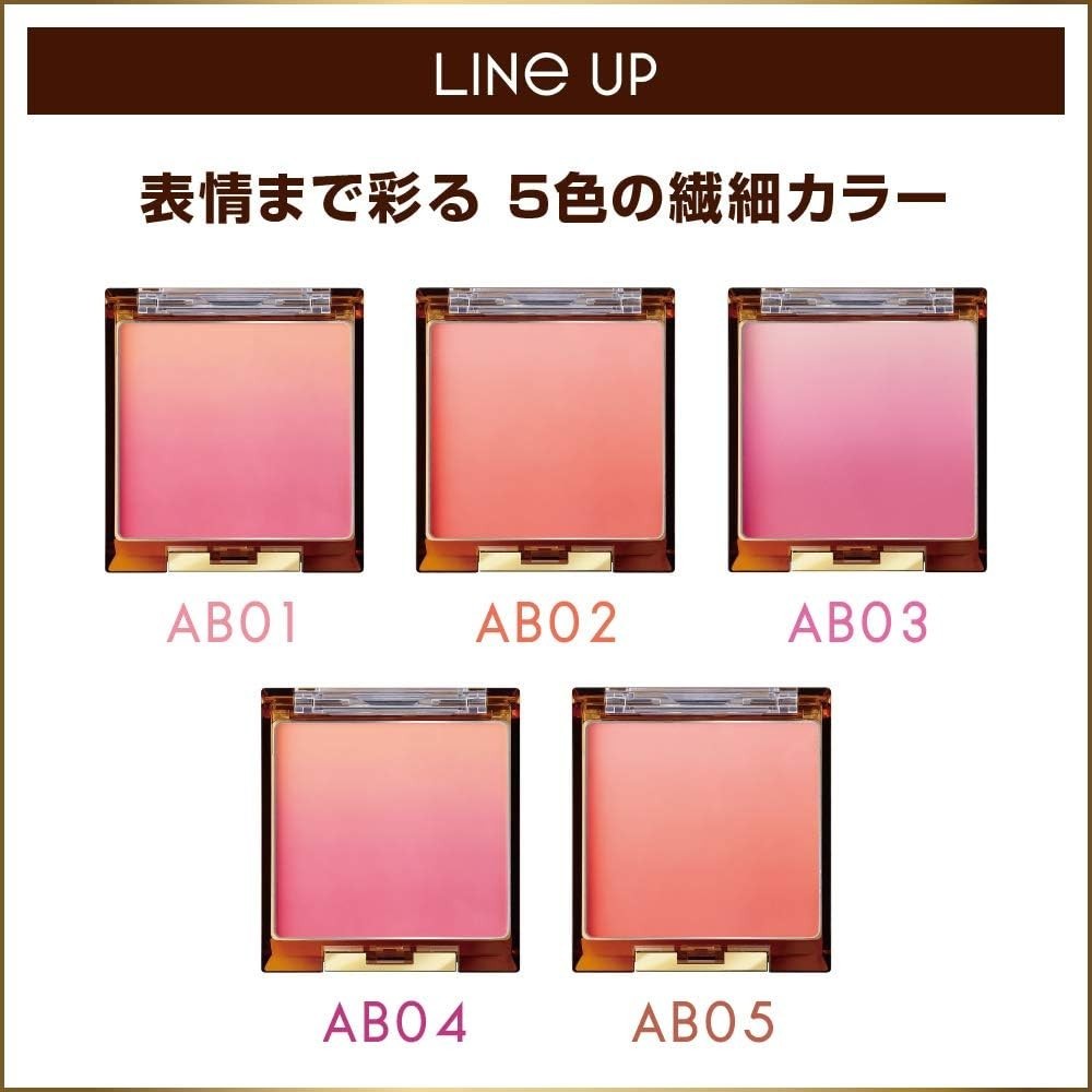 NOEVIR excel Auratic cheek Brush Powder Gradient Teak AB02 Apricot Jam JP