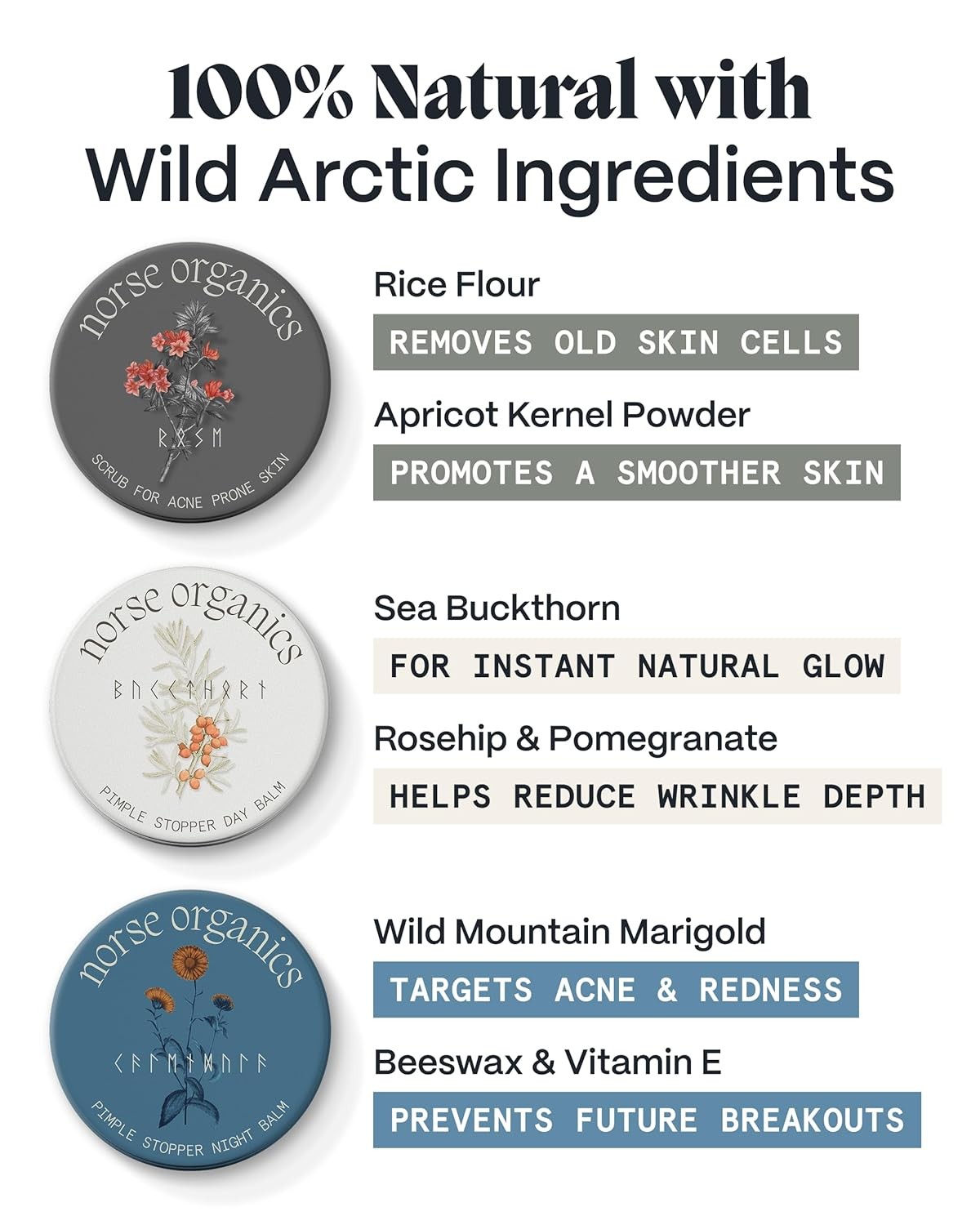 3-Step Acne Kit for Fast Results with Arctic Herbs & Beeswax