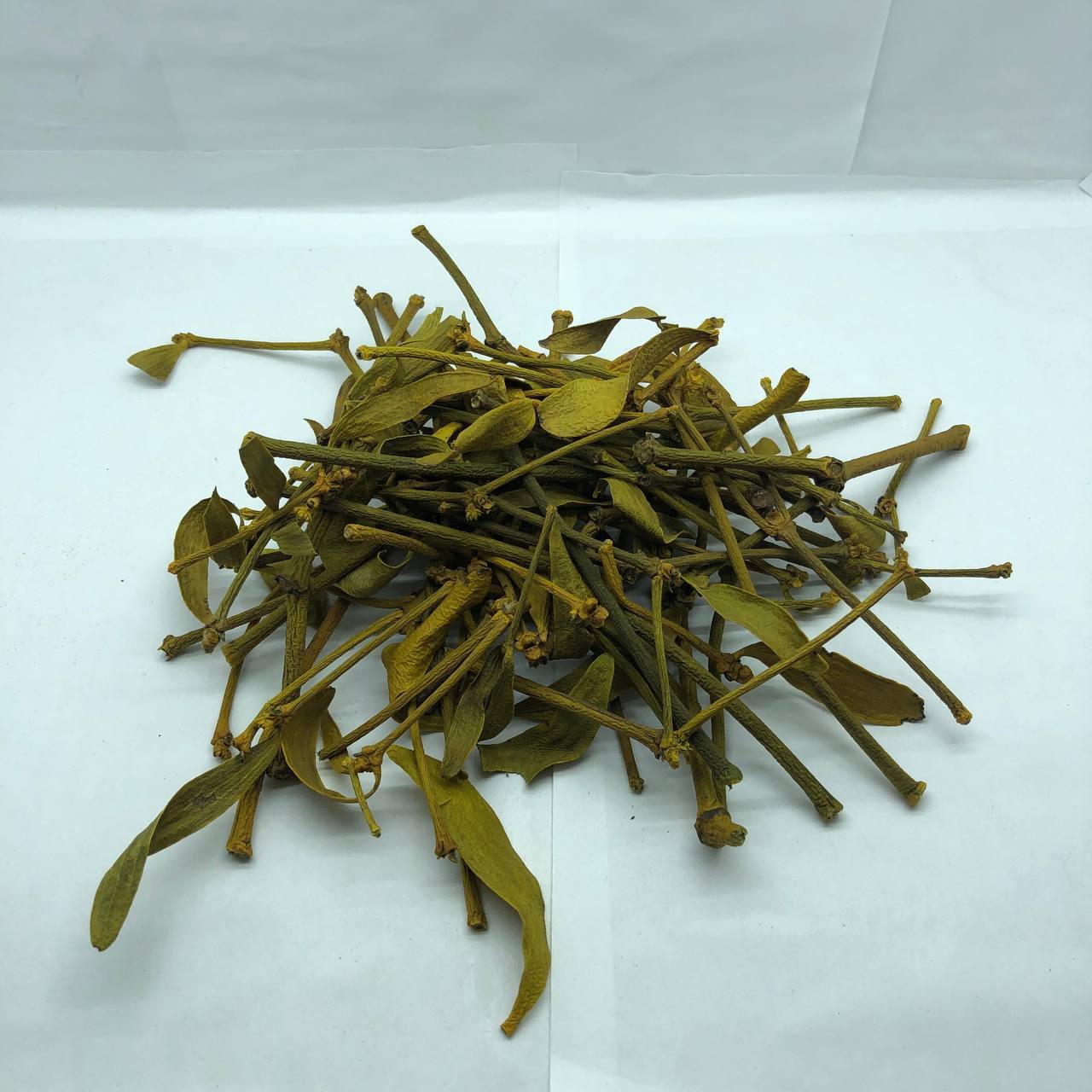Mistletoe ( Viscum album, Omela ) ORGANIC from Carpathian mountain. Ukraine