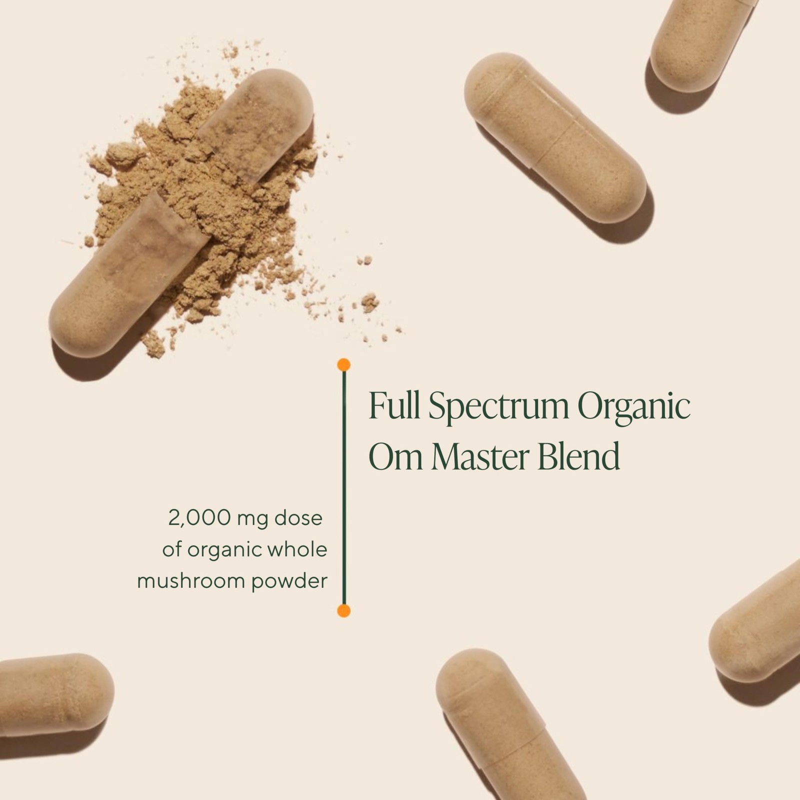 Om Mushroom Superfood Om Master Blend Mushroom Capsules – Organic Mushroom