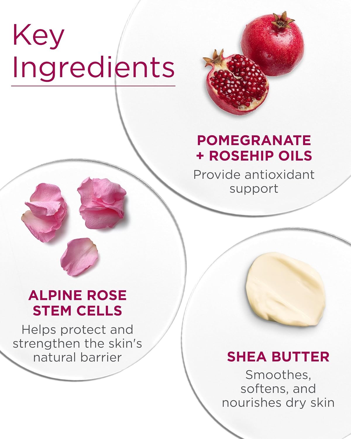 Andalou Naturals 1000 Roses Soothing Body Lotion – Improve Skin Moisture with Sh