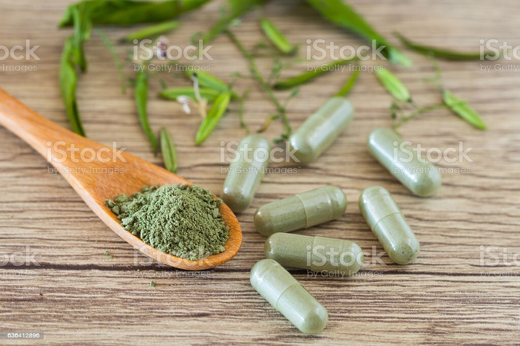 TEMULAWAK CAPSULES Curcuma Xanthorrhiza Java Turmeric Organic Wild Crafted Herbs