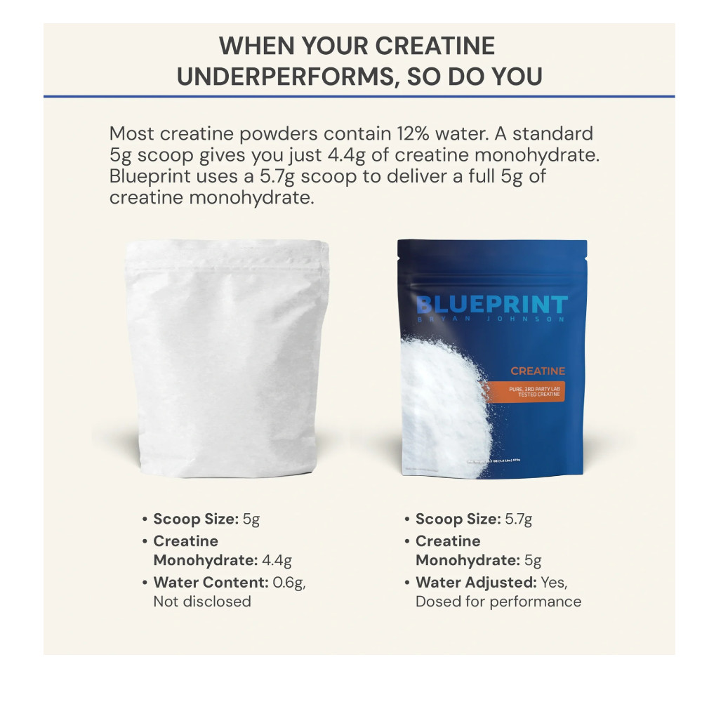 Blueprint Bryan Johnson Creatine Monohydrate – Micronized 99.9% Pure, Unflavored