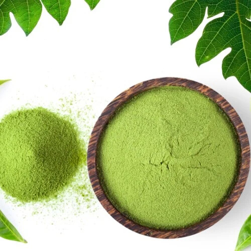 Papaya Leaf Powder I Supports Healthy Blood Platelets & Digestion, Anti-Oxidant