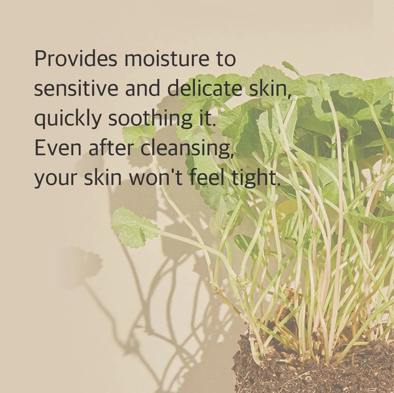 MIXSOON Centella Cleansing foam 150ml / 5.07 fl.oz.