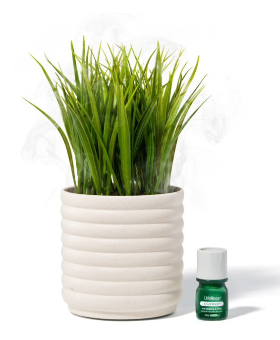 Lifelines Plant Diffuser Bubble White Grass Fir Pine Scent