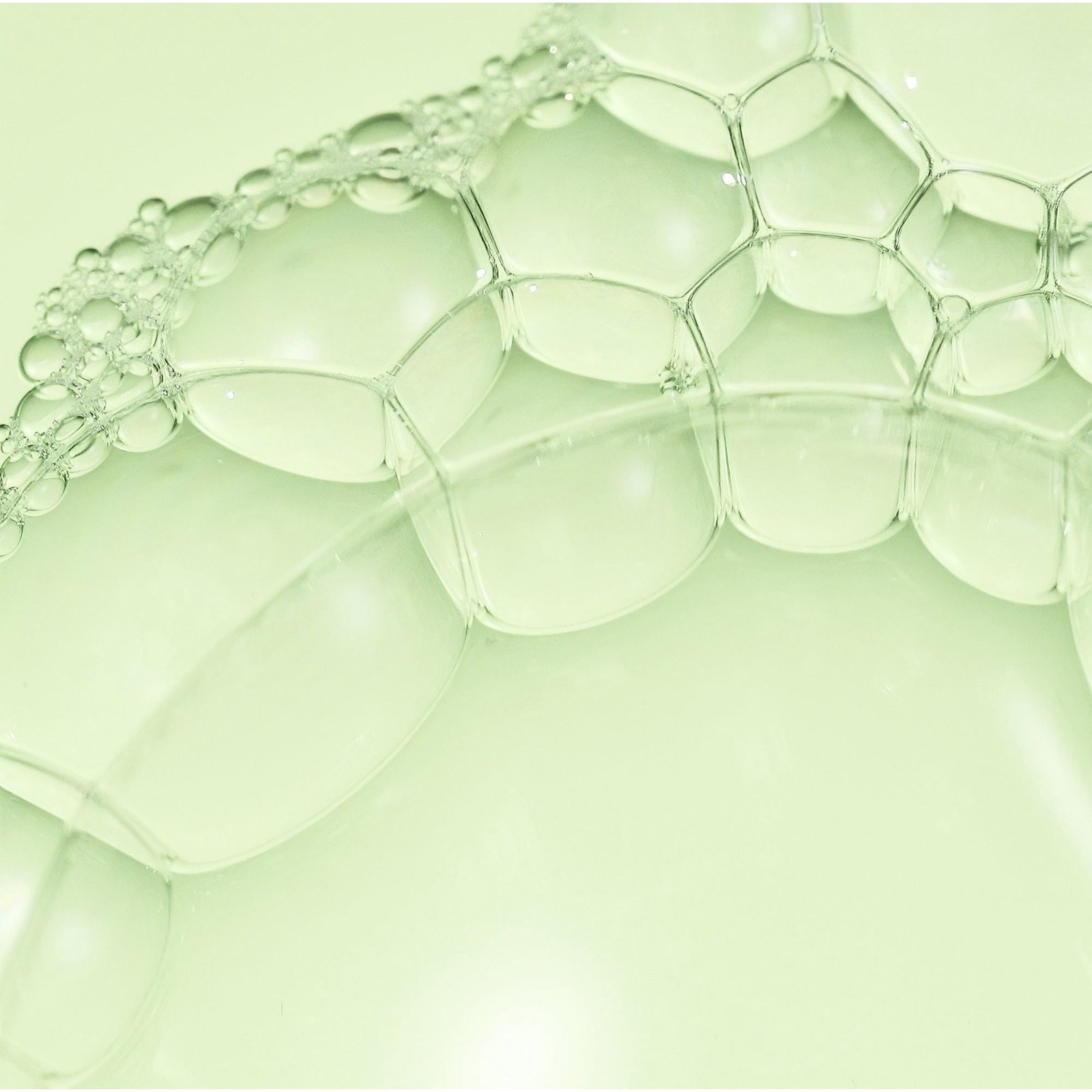 Squalane + 2% BHA Pore Minimizing Toner