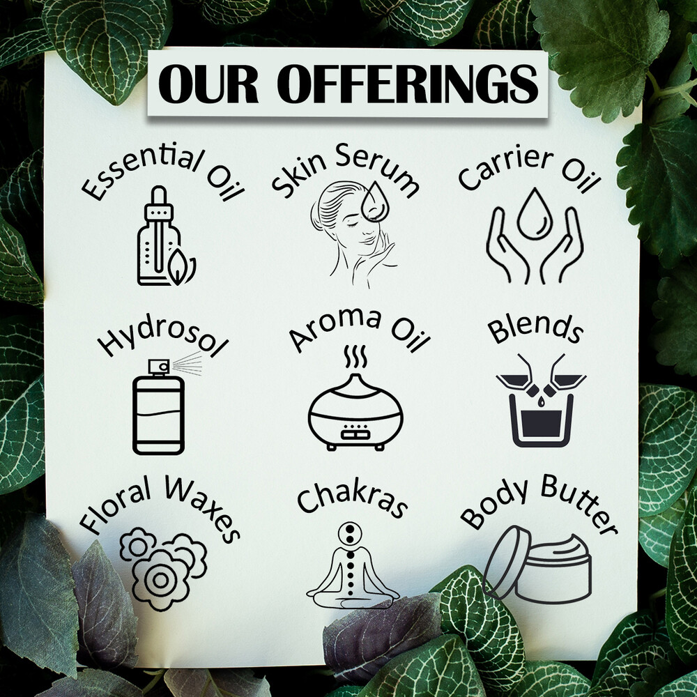 Deve Herbes Pure Borage Oil (Borago officinalis) Cold Pressed