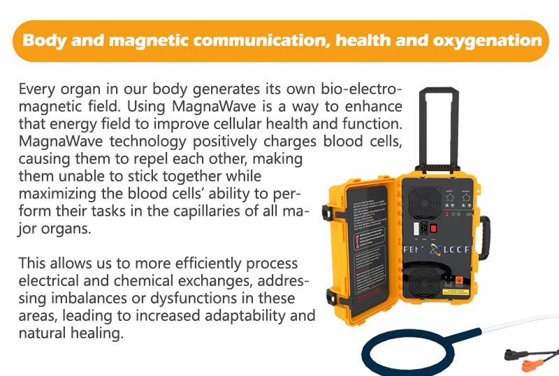 Portable Home Use PEMF Therapy Magnetic Therapy Chronic Pain Treatment Machine