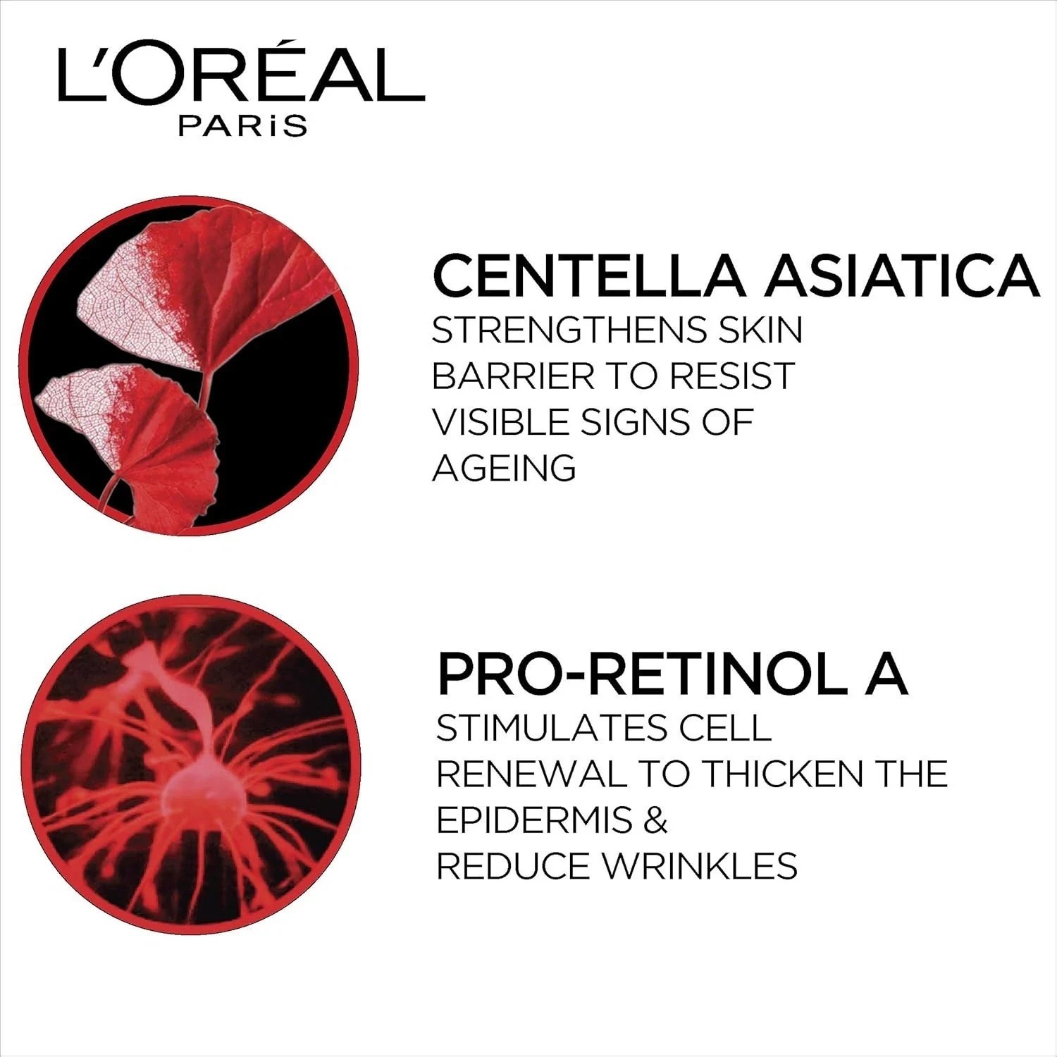 L’Oreal Paris Day Cream, SPF 35 Pa++ Anti-Wrinkle and Radiance, Boosts Skin 50ml