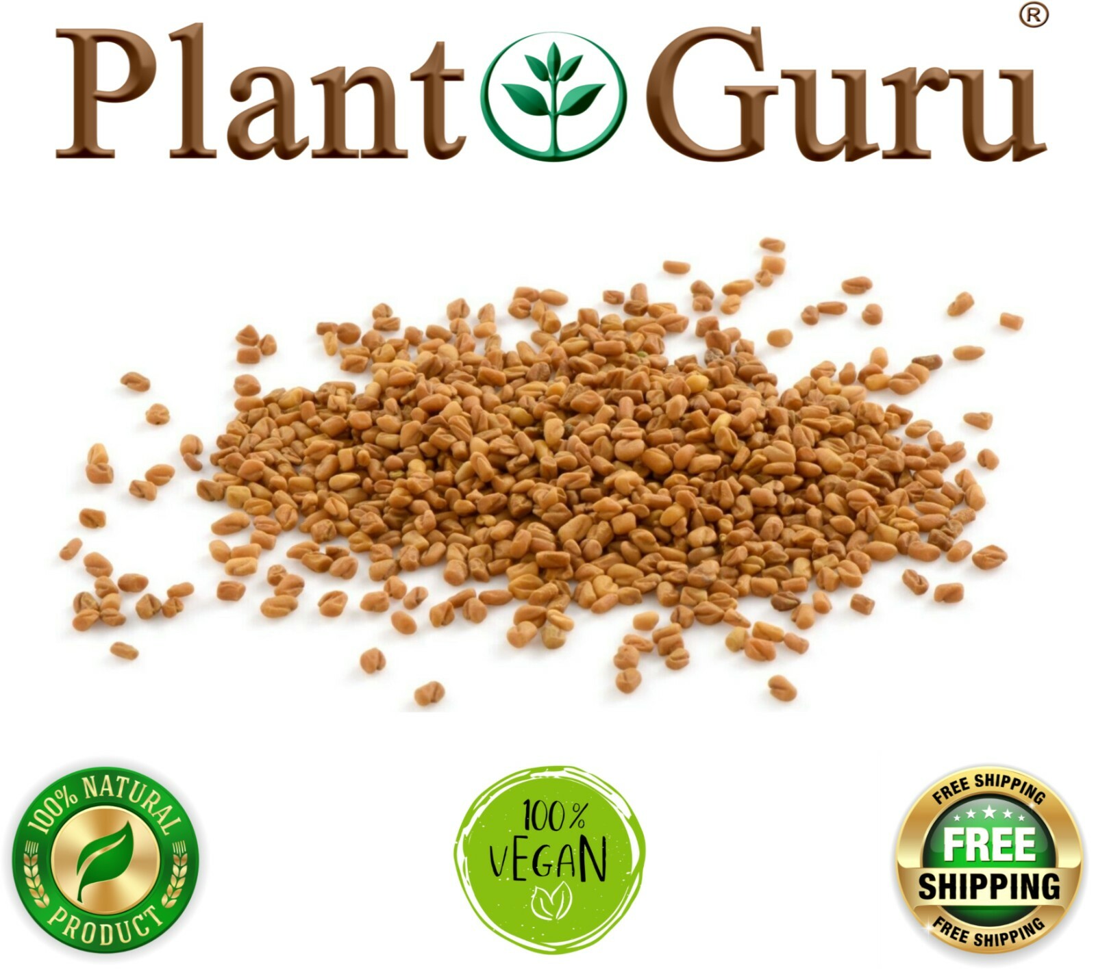 Fenugreek Seeds Whole 2.5 lbs. Jar Bulk Trigonella Foenum Graecum Methi Seed