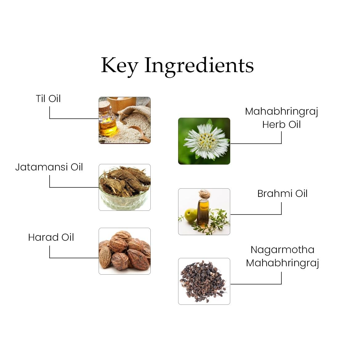 Suparna Trikha Mahabhringraj Hair Oil For All Hair Types 200ml