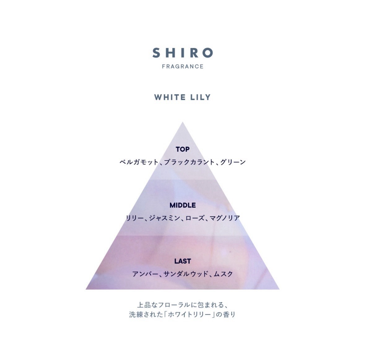 SHIRO Fragrance Eau de Parfum 40mL WHITE LILY Japan