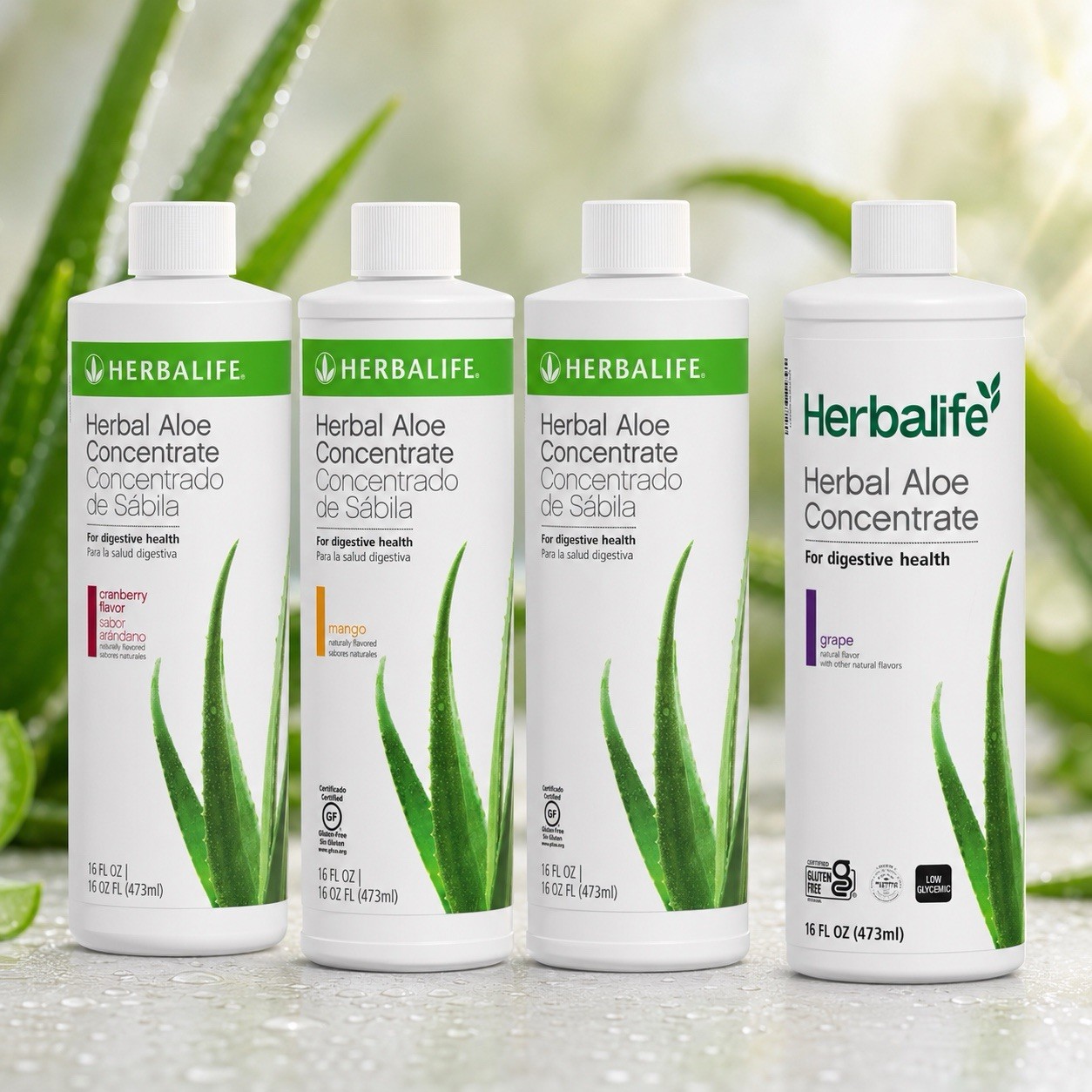 Herbalife Herbal Aloe Concentrate 4-Pack Grape Mango Cranberry Original