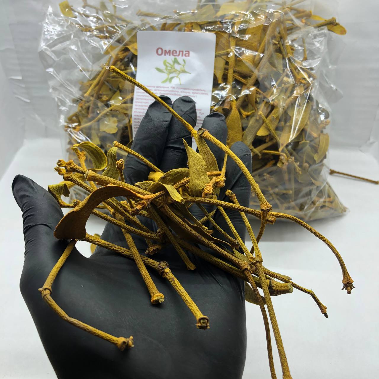 Mistletoe ( Viscum album, Omela ) ORGANIC from Carpathian mountain. Ukraine