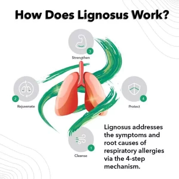 Lignosus Natural Lung Health Support 30 Sachets / FREE Same Day Shipping Mon-Sat