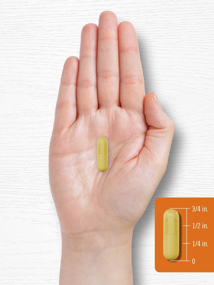 Turmeric Curcumin 2400mg | 180 Capsules | Non-GMO, Gluten Free | by Carlyle