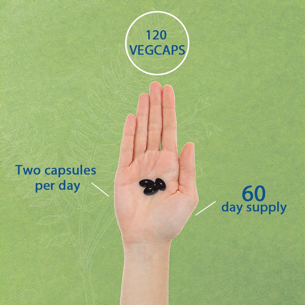 Tongka Al (Eurycoma longifolia)(root)Extract400mg Per Serving – 30to120 Veg Caps