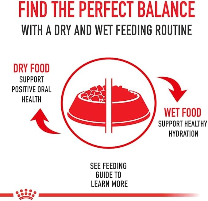 Royal Canin Size Health Nutrition Large Thin Slices in Gravy Wet Puppy Food,13 o