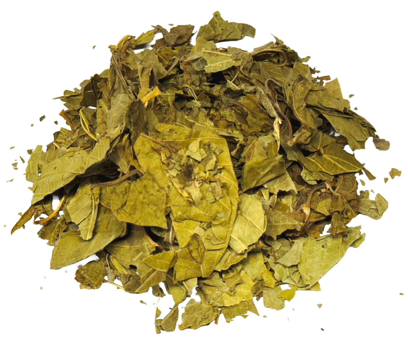 Matico Herbal Tea Peruvian Premium Hierba del Soldado Herbal Infusion (60g) Peru