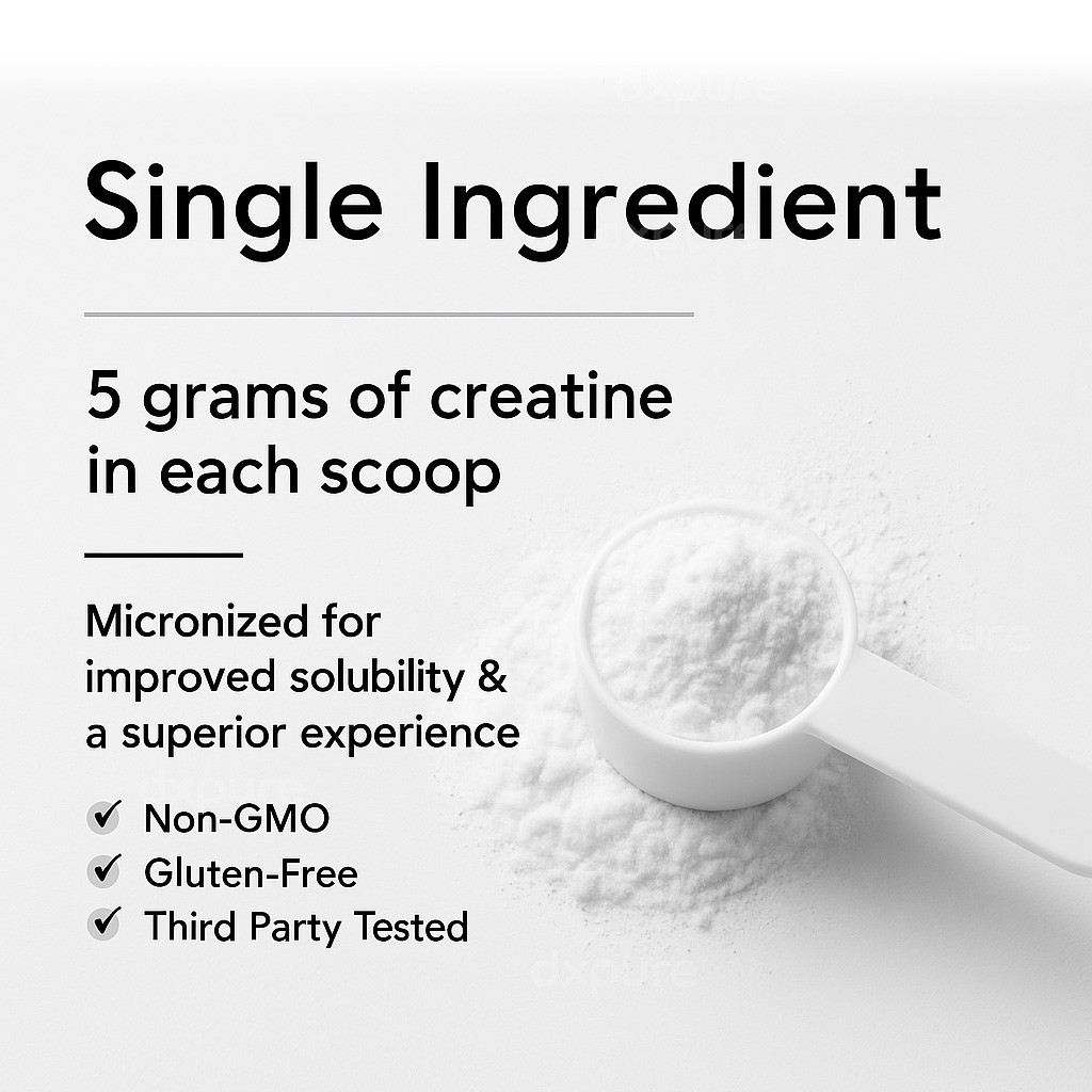 Creatine Monohydrate Micronized Powder 500G – 100 Servings – Unflavored