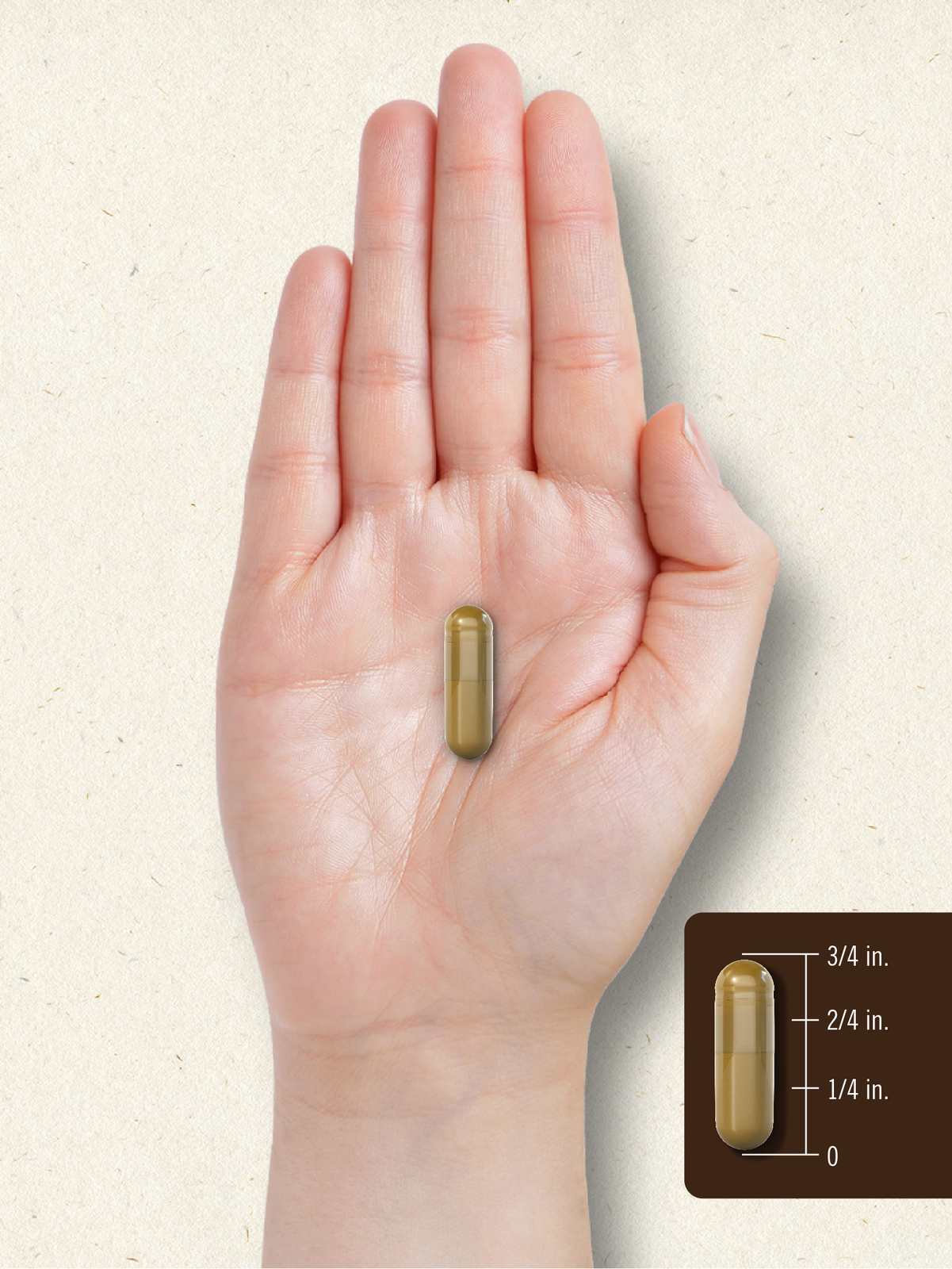 Bee Propolis Capsules 600mg | 150 Count | Non-GMO, Gluten Free | by Carlyle