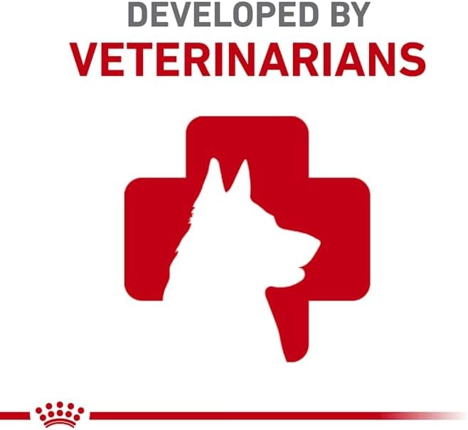 Royal Canin Size Health Nutrition Large Thin Slices in Gravy Wet Puppy Food,13 o