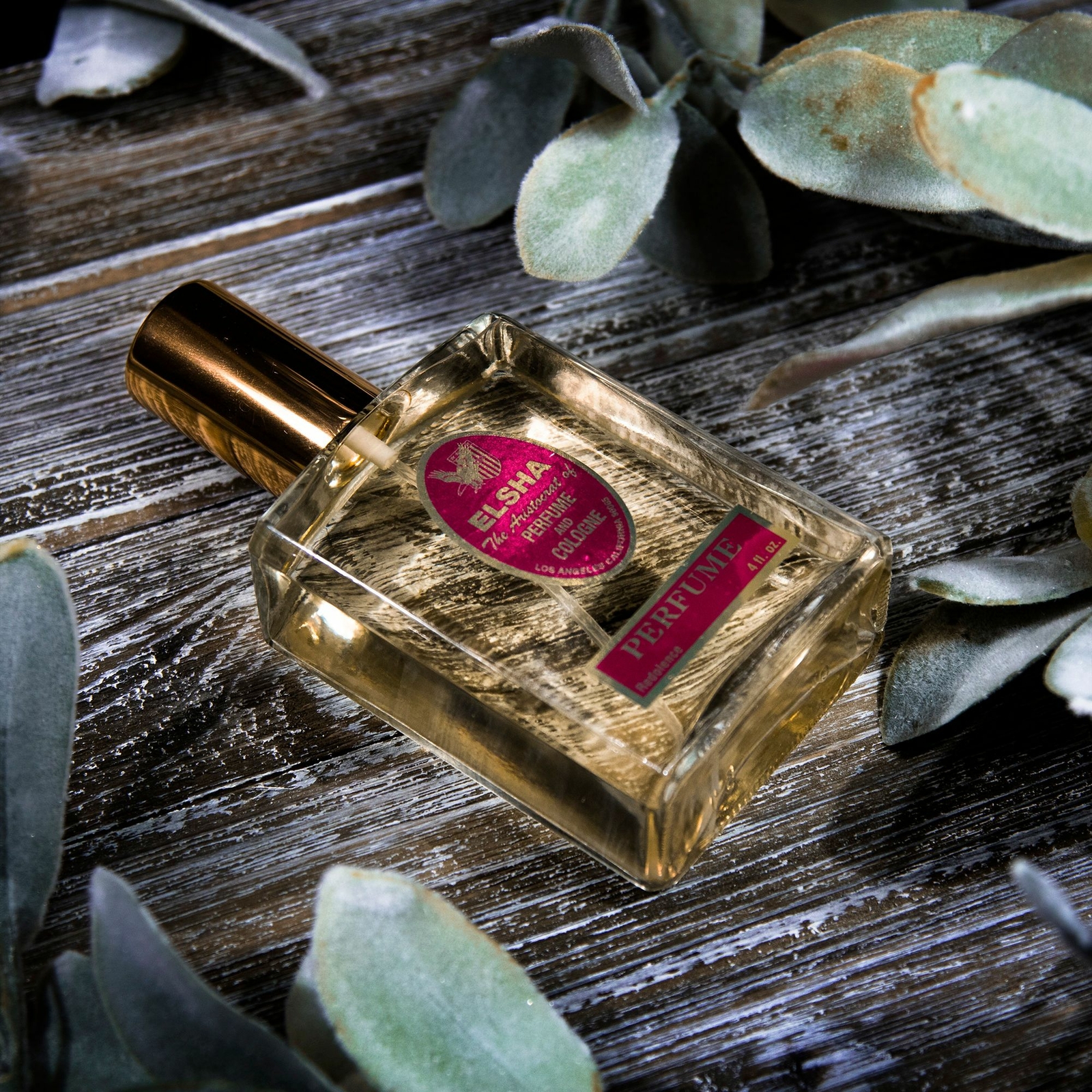 ELSHA Perfume – Only For Women