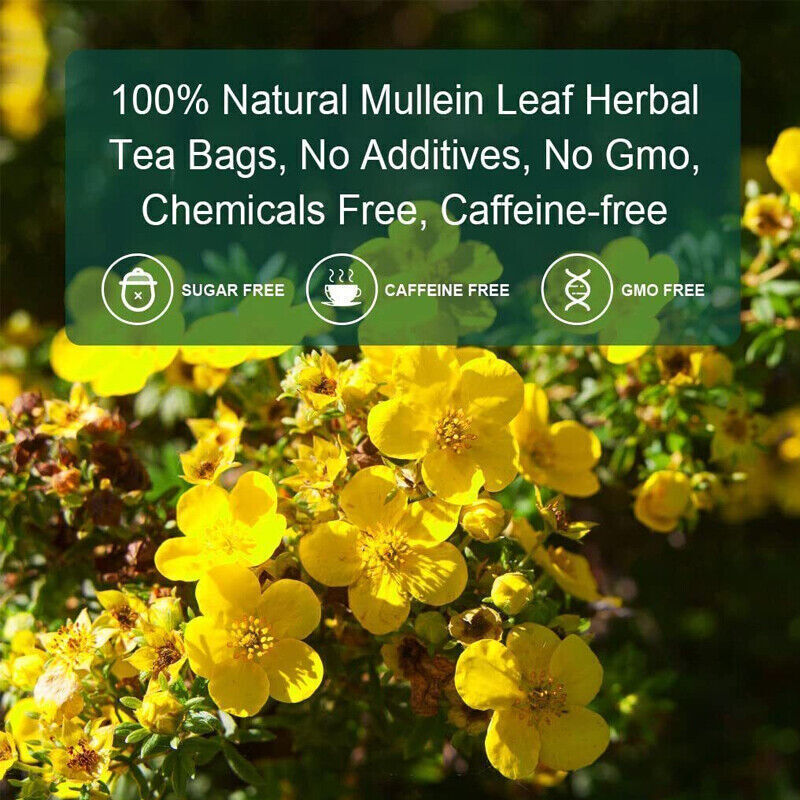 Natural Mullein Drops Mullein Leaf Tea For Lung Cleanse Respiratory Health