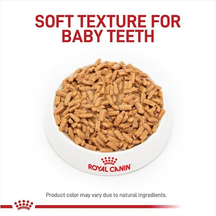 Royal Canin Size Health Nutrition Large Thin Slices in Gravy Wet Puppy Food,13 o
