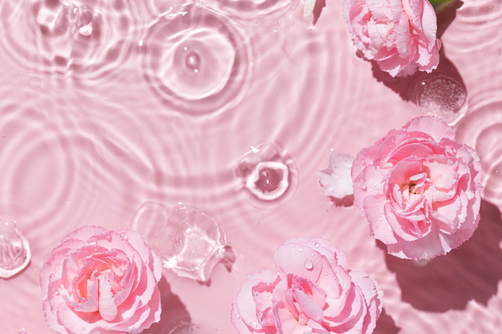 Rose water and glycerin natural hydrosol moisturizing hydration cleanser gallon