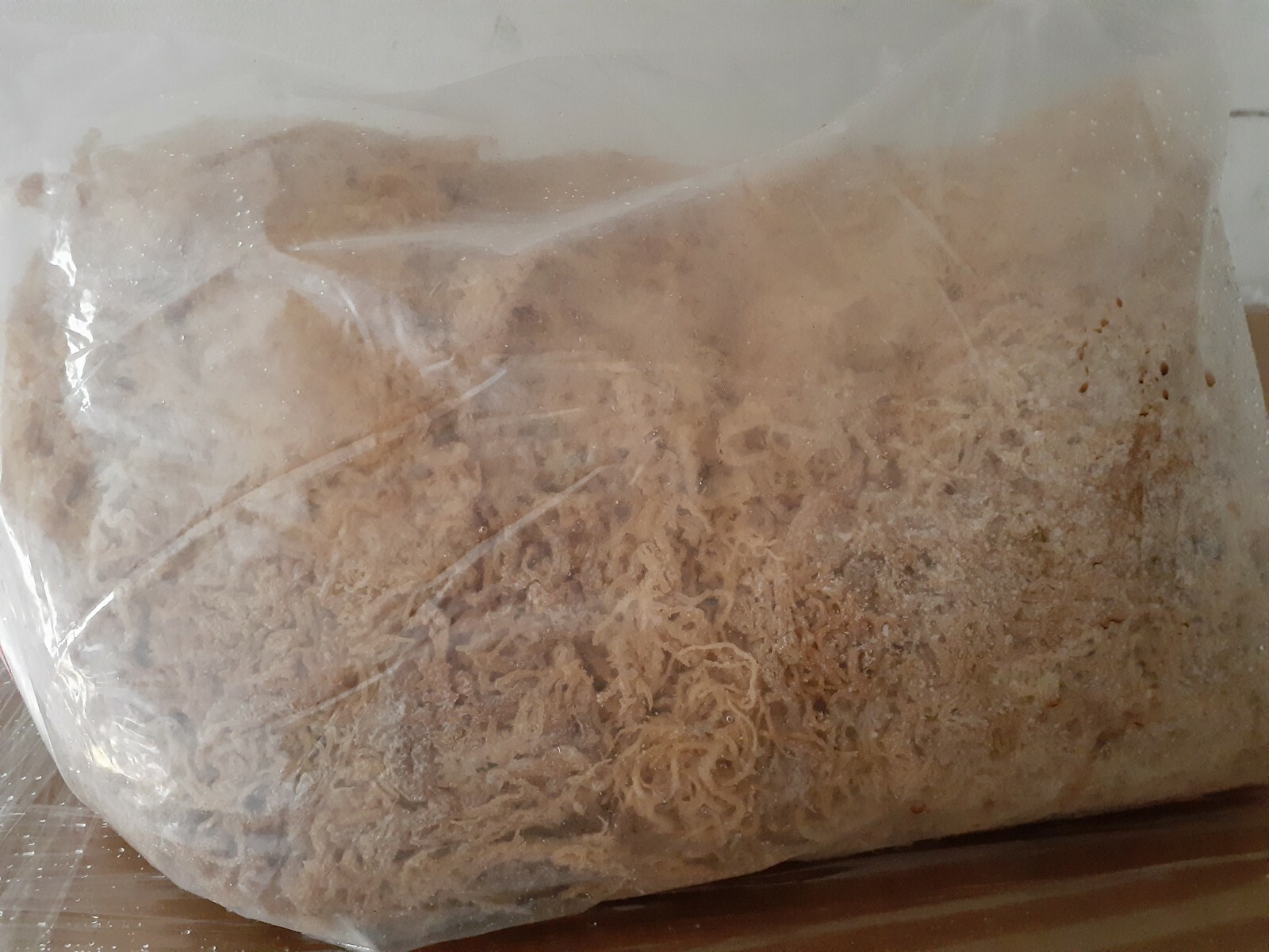Irish Moss Sea Moss 11 lb bag |100% Raw Wild Crafted -176 Oz Jamaica authentic