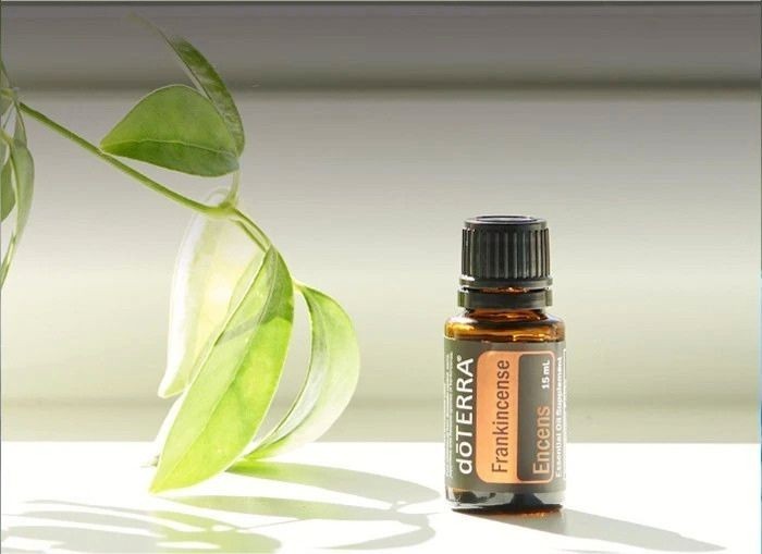doTERRA Frankincense 15ml Exp 12/2027 Essential Oil
