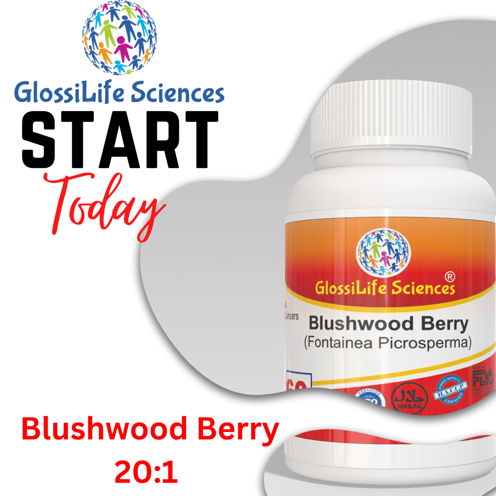 2 Pack Blushwood Berry 20:1 Extract Capsule EBC-46 120 Capsule ….