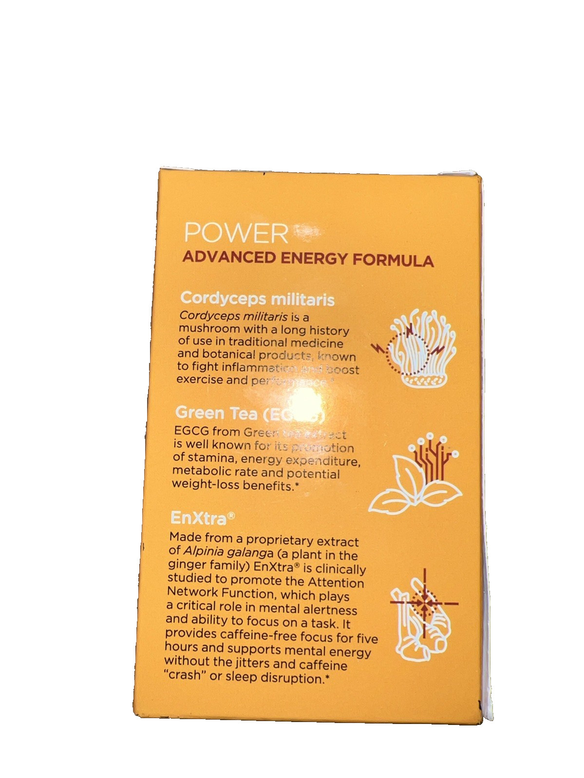 Power Energy & stamina Platinum Mushroom 60 Capsules 30 Servings Exp 2/2026