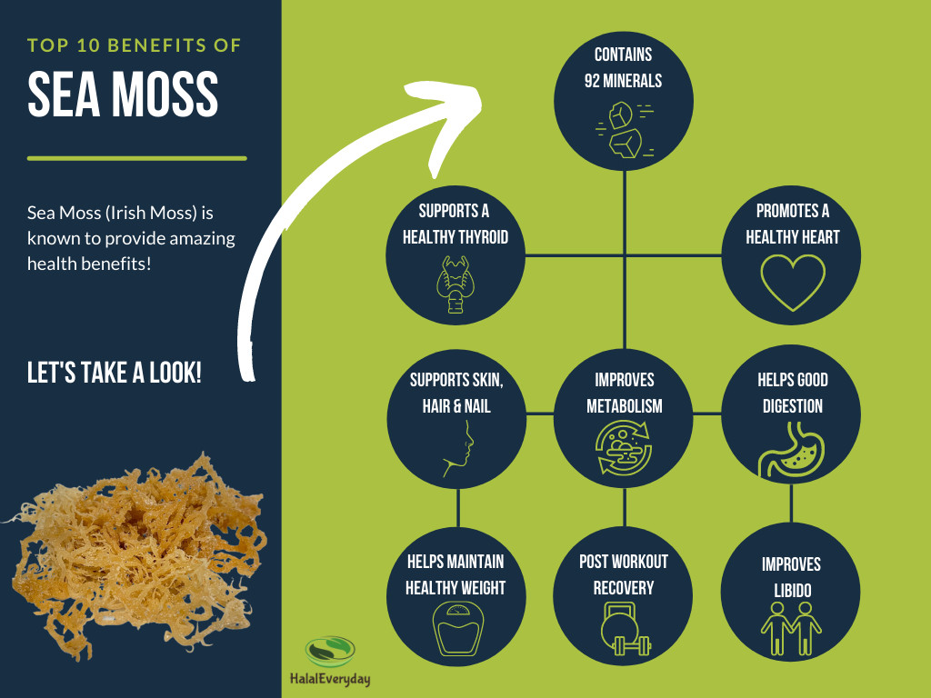 Irish Sea Moss Whole Leaf – 100% Raw WildCrafted Chondrus Crispus Superfood Bulk