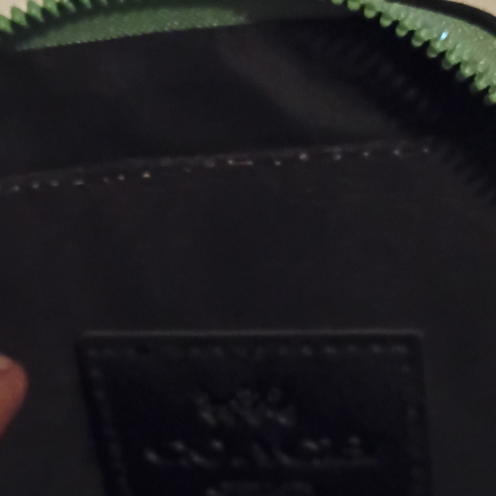 COACH Green Makeup Bag Pouch with Zipper Closure, Girl Graphic Cosmetic Case