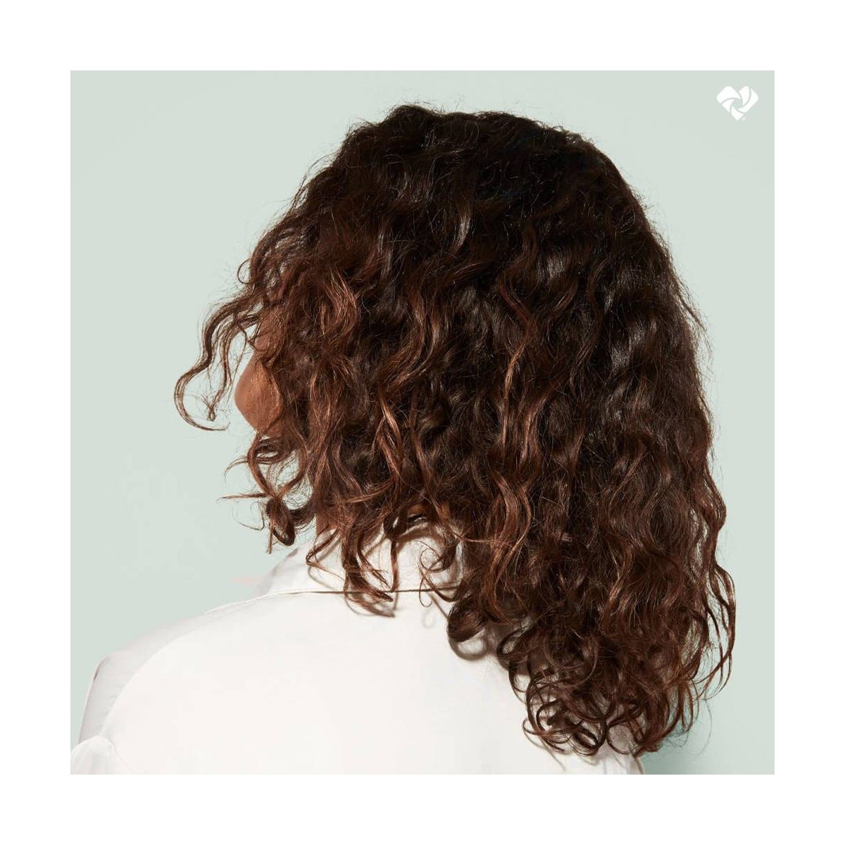 Odele Smoothing Shampoo for Frizz Control + Shine – 13 fl oz: Curly & Dry Hair