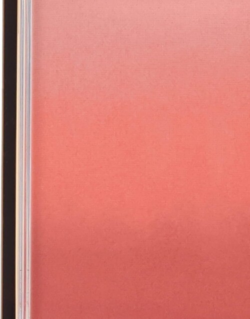 NOEVIR excel auratic brush 8g AB02 apricot jam coral orange fragrance-free