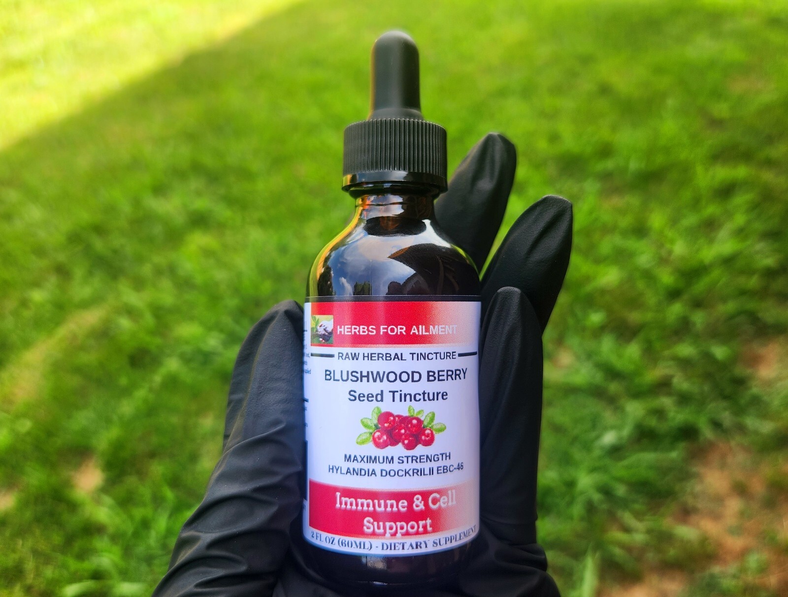 Blushwood Berry EBC46 Tincture/Immune/Cell Support/Oral/Topical/US SELLER