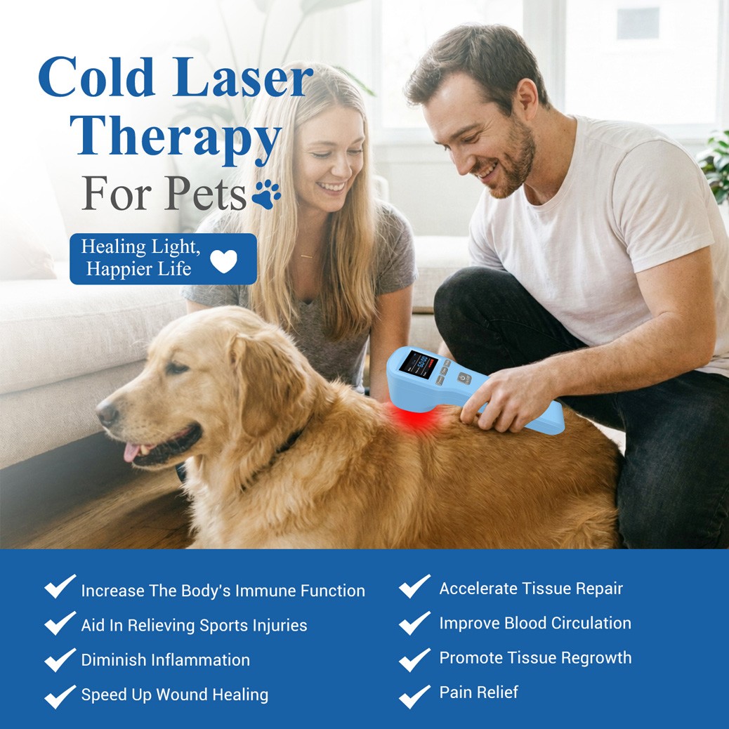 LLLT Red Light Laser Therapy 16x650nm 4x808nm fo Joints Pain Home Physiotherapy