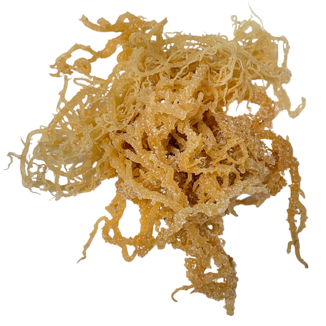 Irish Sea Moss Whole Leaf – 100% Raw WildCrafted Chondrus Crispus Superfood Bulk