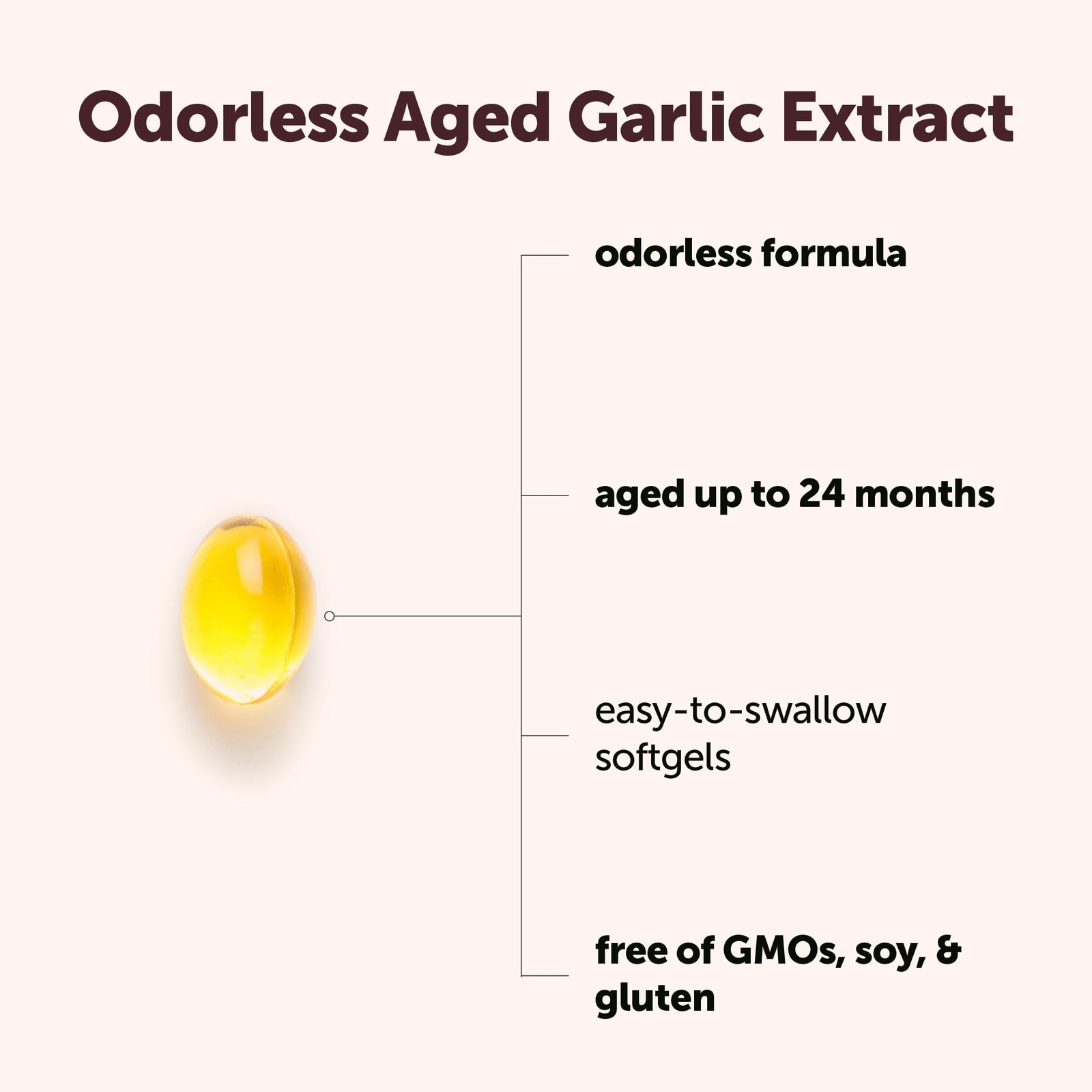 Micro Ingredients Odorless Garlic, 300 Softgels | 2 Years Aged Garlic Extract…