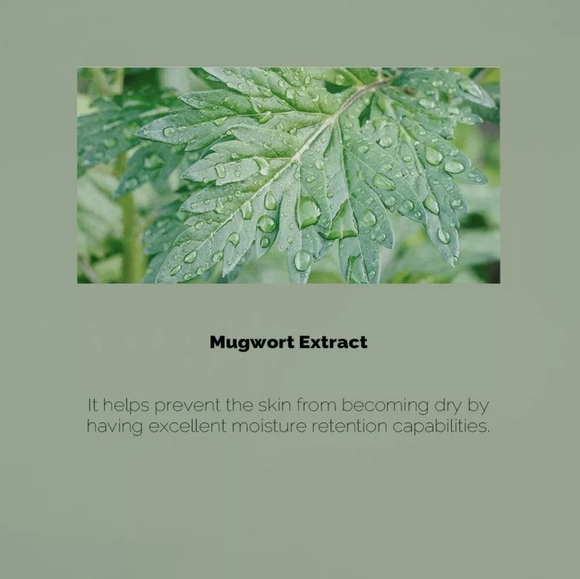 PrettySkin Mugwort Ceramide Toner Intensive Moisturizing Soothing 8.45 oz, New