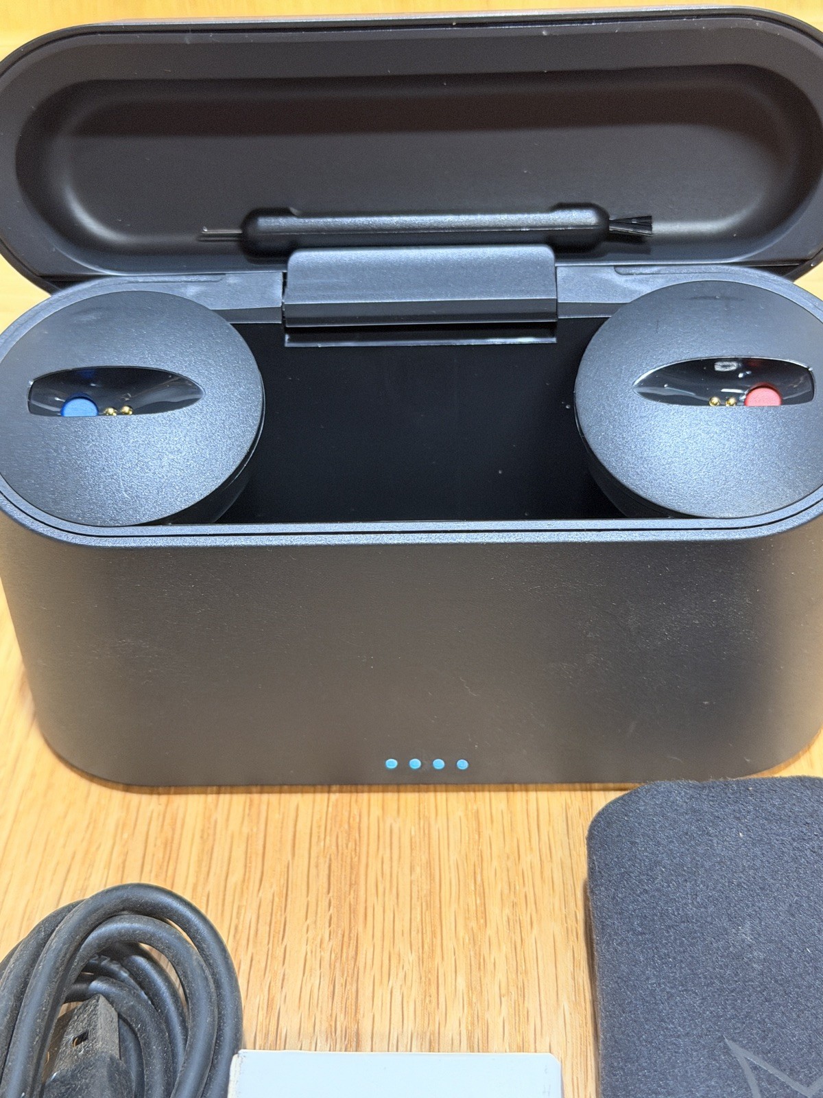 Starkey IP21 Charger