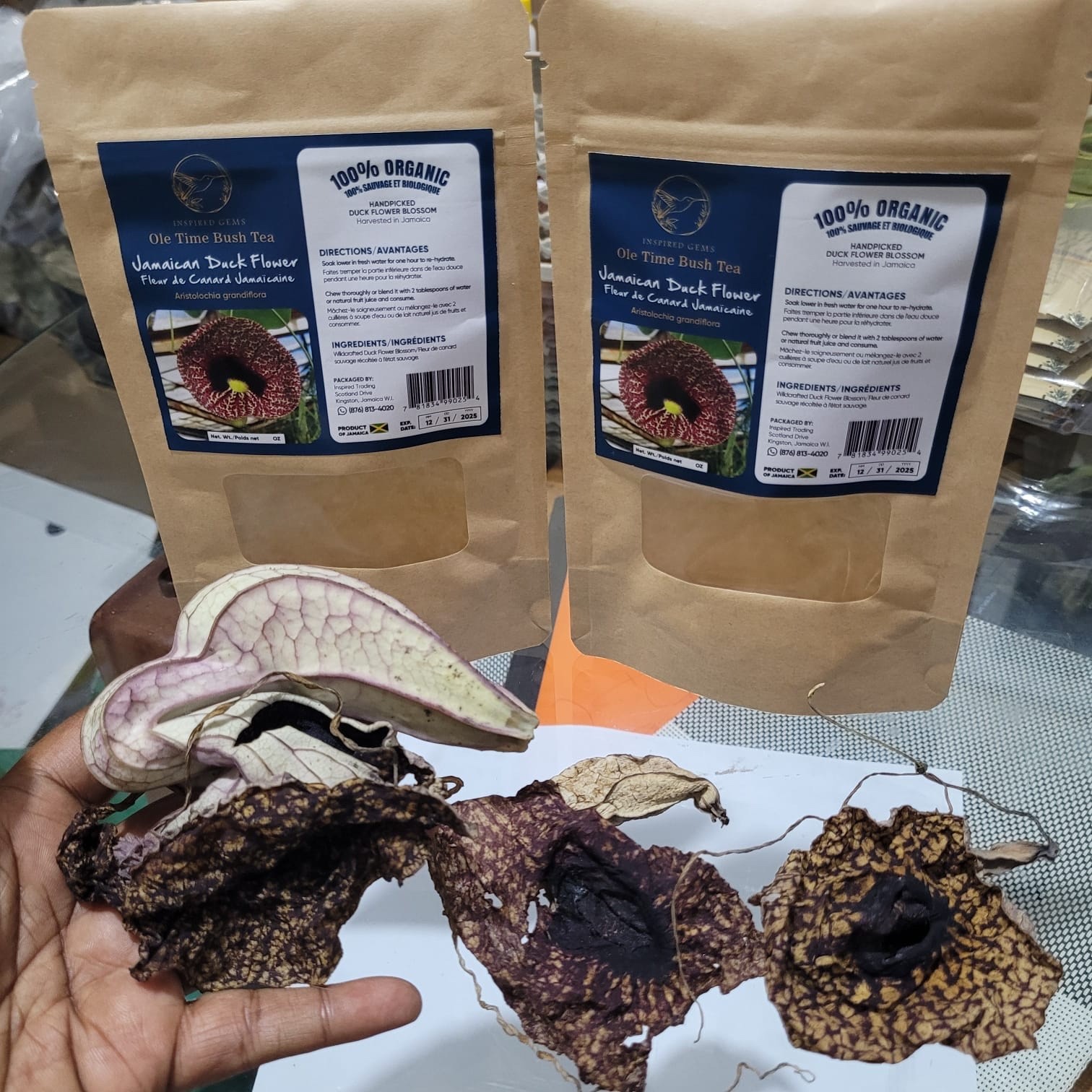 Jamaican Duck Flower Detox- Handpicked In Portland