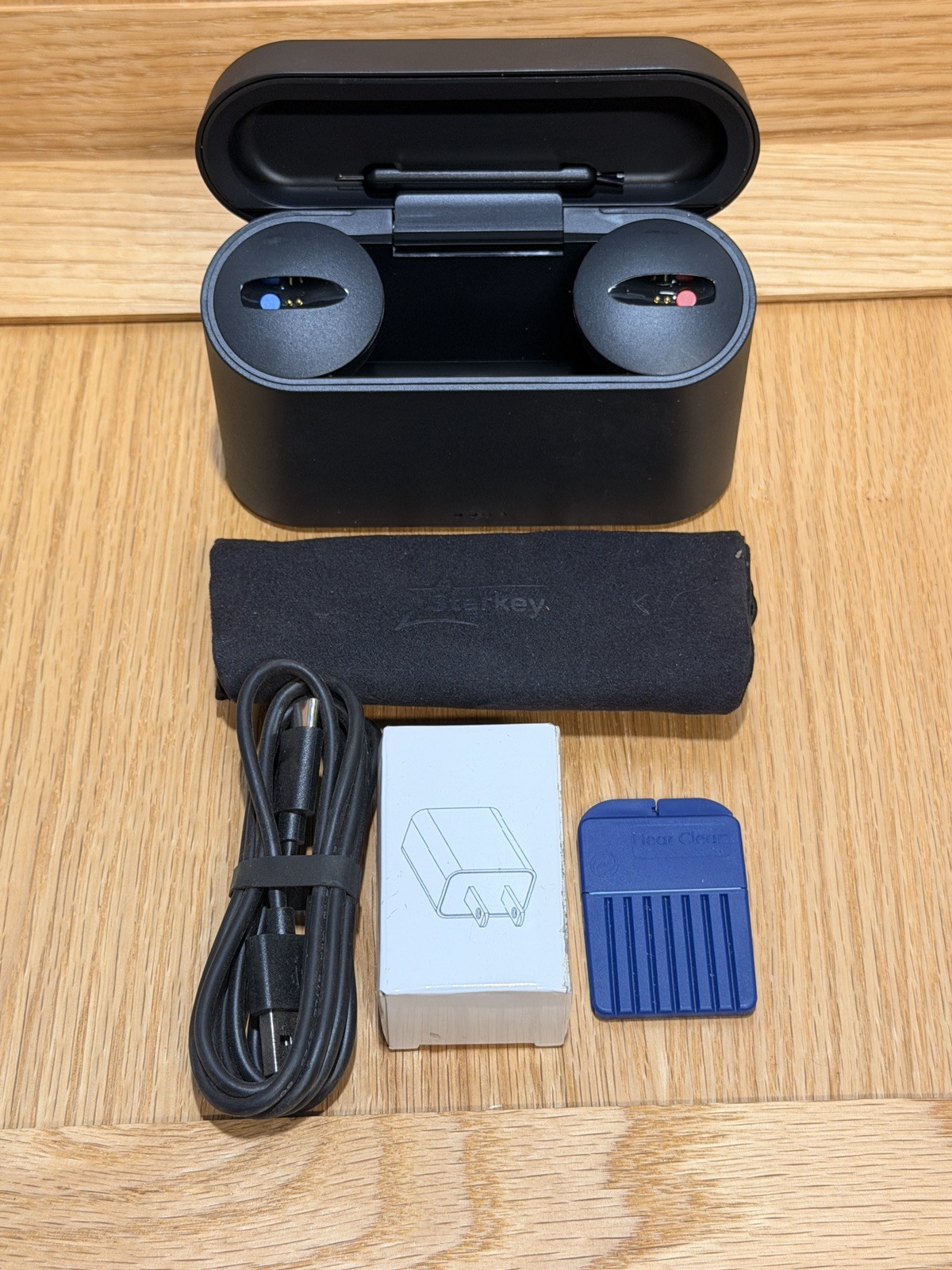 Starkey IP21 Charger